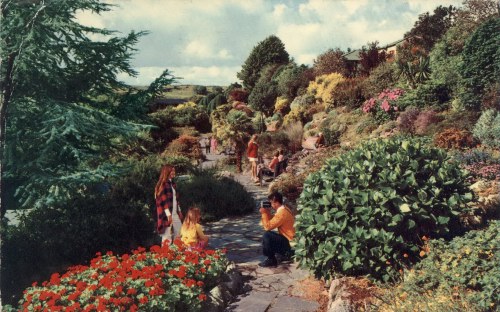 The Rock Gardens