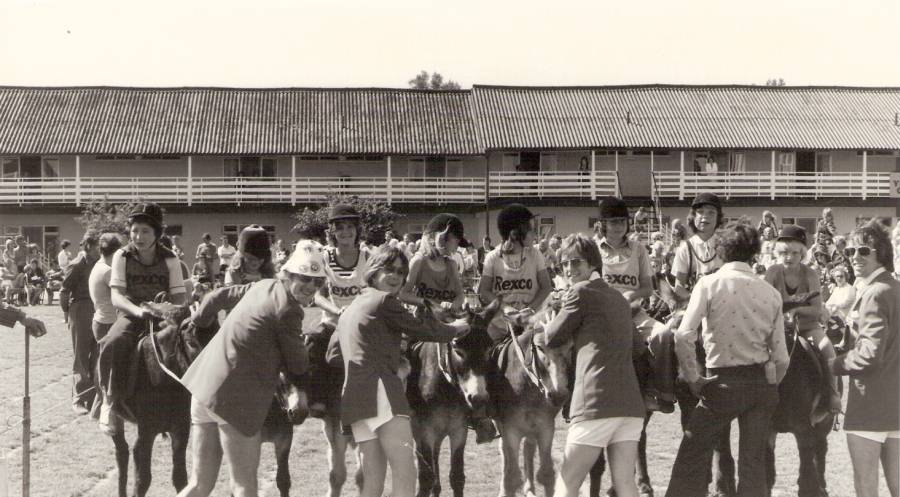 Donkey Derby - On Starters Orders