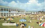 Sunbathing Lawns