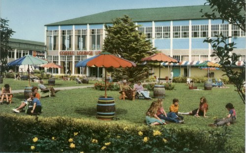 Sunbathing Lawns
