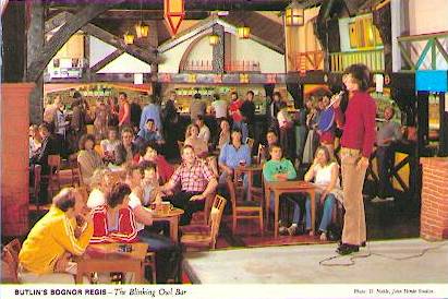 Blinking Owl Bar