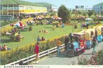 Lawns