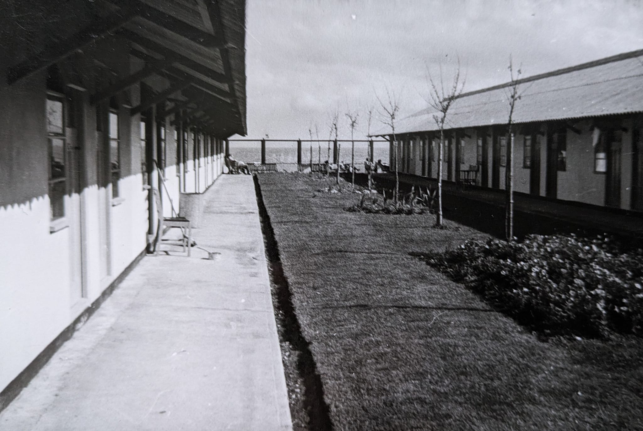 1950s
