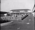 Skating Rink