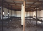 Inside stables