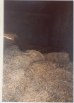 Inside straw store