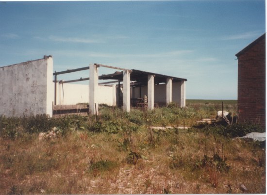 Shed