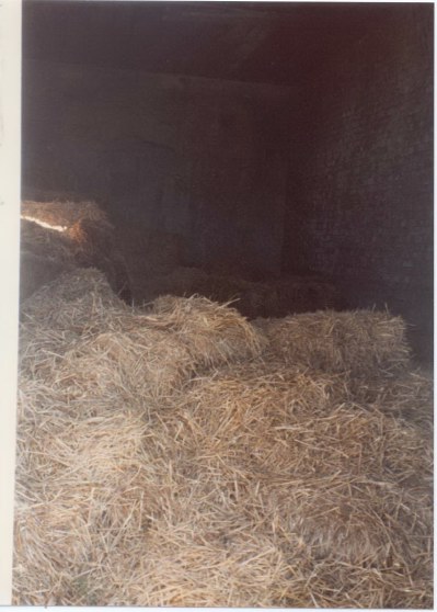 Inside straw store