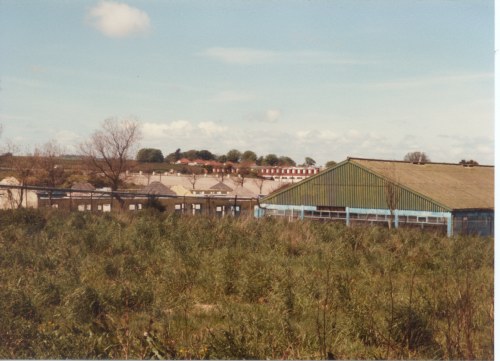 View from elephant house