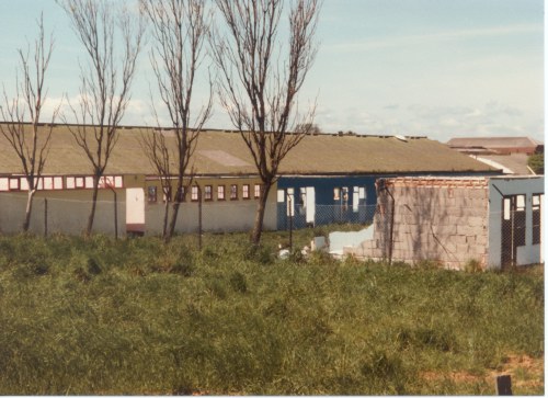 Row M. The yellow building is the ladies toilet