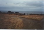 This is where Puffin Billy turned around and headed back to the camp
