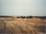 Rough grass area between Blue camp and beach