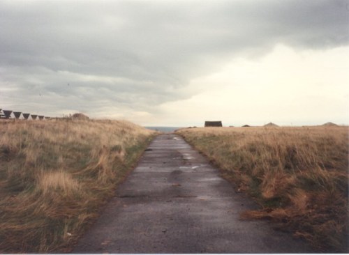 The road leading to the beach with Yellow Camp on the left
