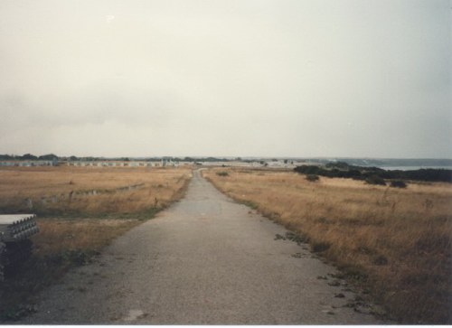 Looking down the coast road from Blue Camp to White Camp. The beach is on the right