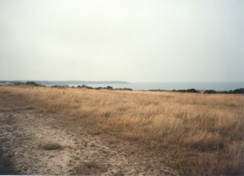 Another view looking towards the beach. The chairlift station can just be seen in the distance