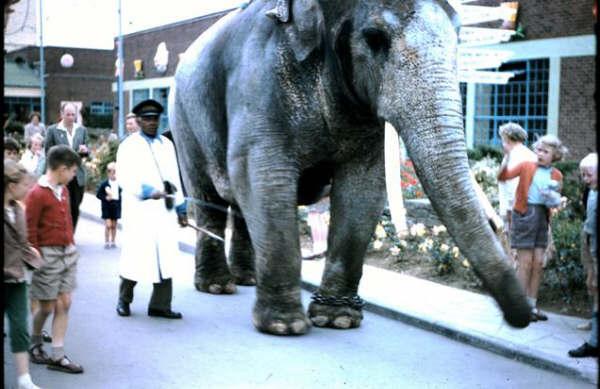 Charlie & Keeper