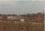 View over the lake