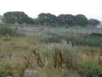 Remains of Filey Camp, September 2008