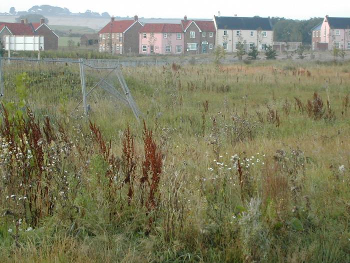 Remains of Filey Camp, September 2008