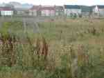 Remains of Filey Camp, September 2008