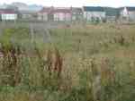 Remains of Filey Camp, September 2008