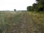 Remains of Filey Camp, September 2008