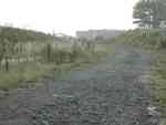 Remains of Filey Camp, September 2008