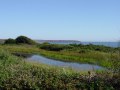 The Cliff Pond