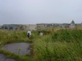 White Camp