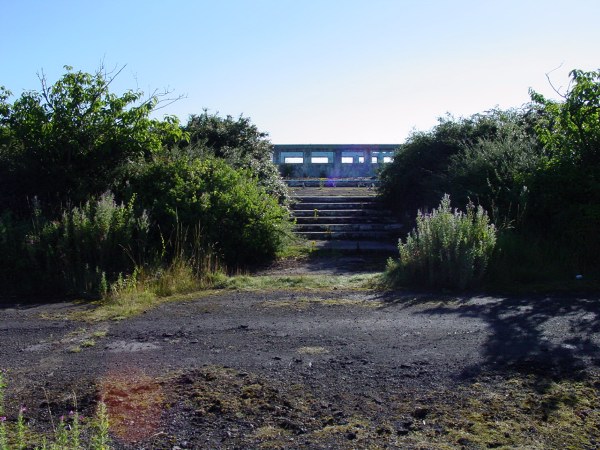 Pool Steps