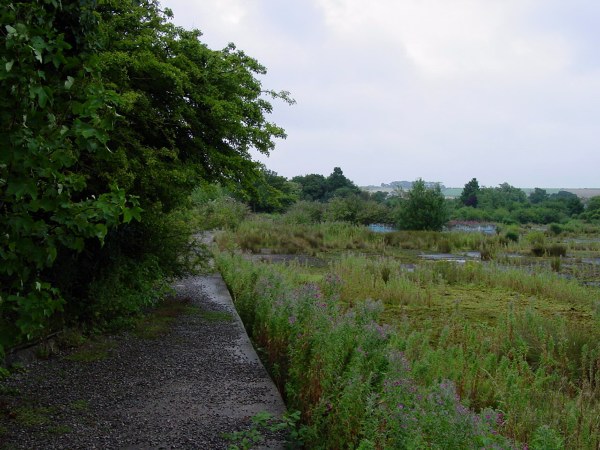 Miniature Railway Track