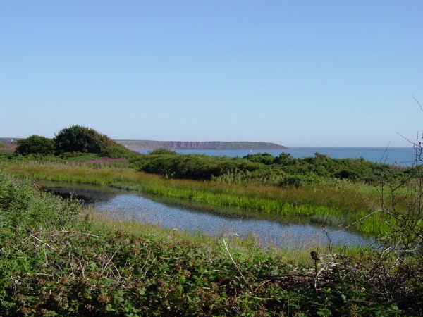 The Cliff Pond