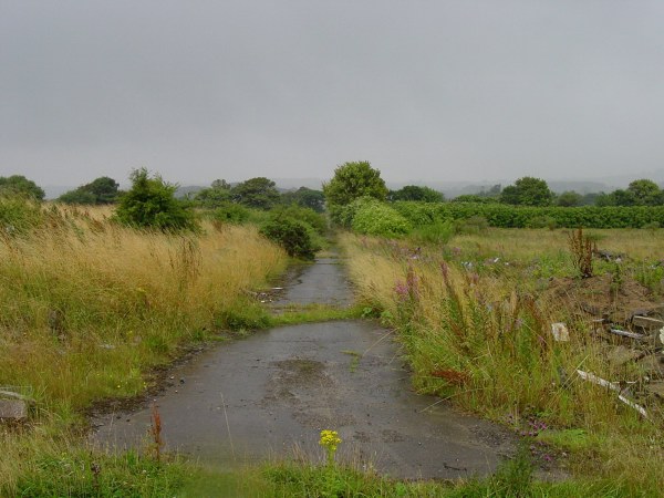 Road to Green and Red Camp