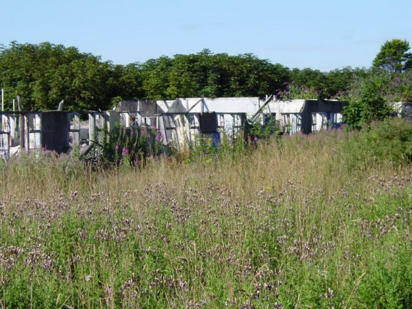 Yellow Camp Chalets