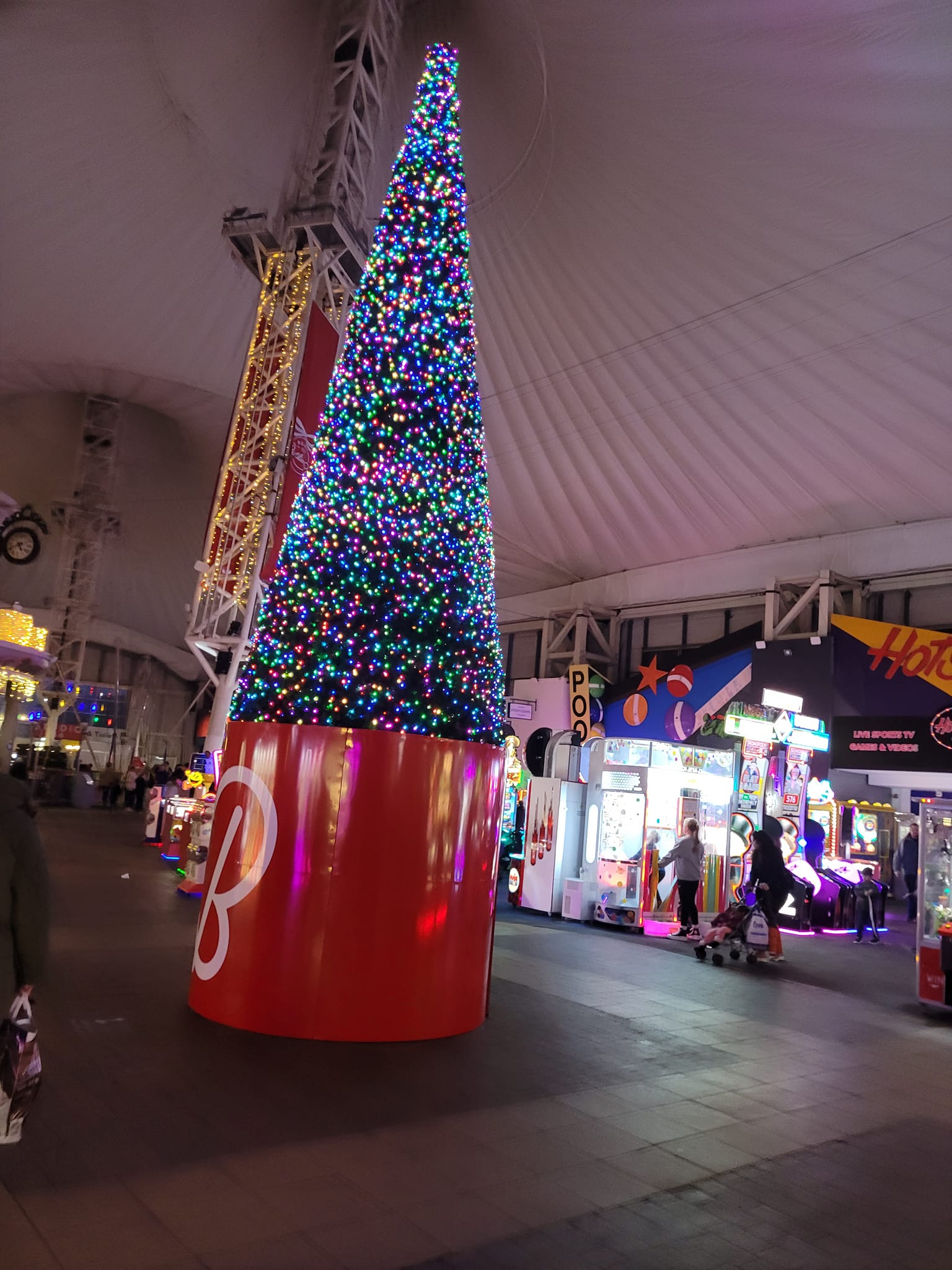 Illuminated Tree