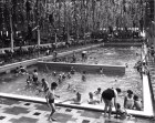 Indoor Pool 1964