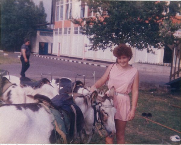 Donkeys on the sportsfield