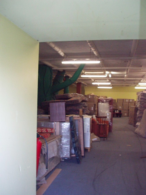 Interior of old Beachcomber Building - note Green Tree!