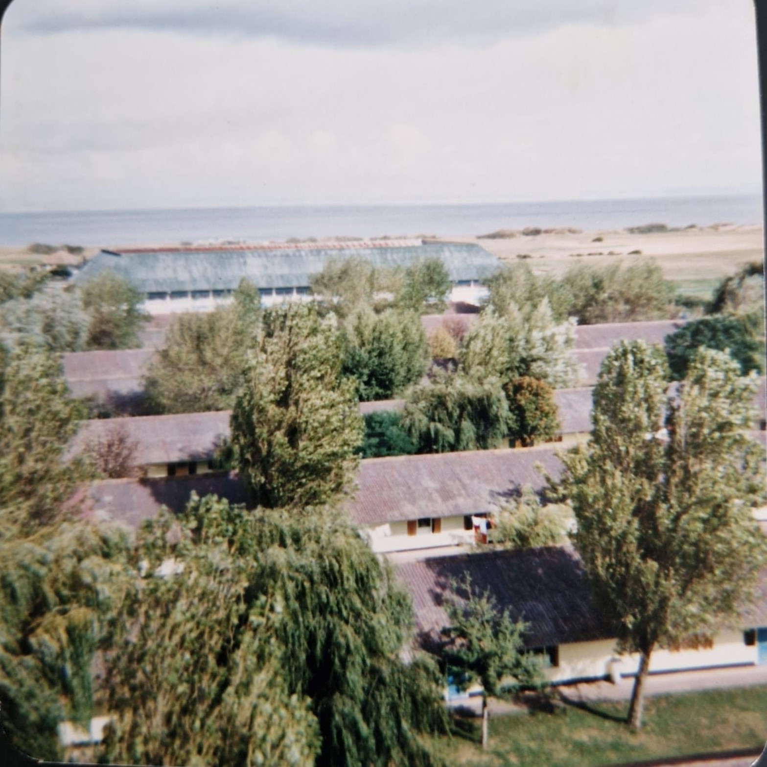 Rooftops from the chairlift