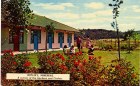 Gardens & Chalets