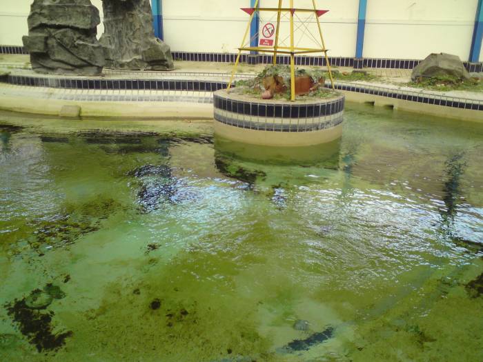 Minehead Sunsplash Pool in 2008