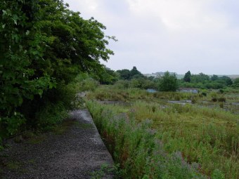 Filey. Remains of trackbed 2001