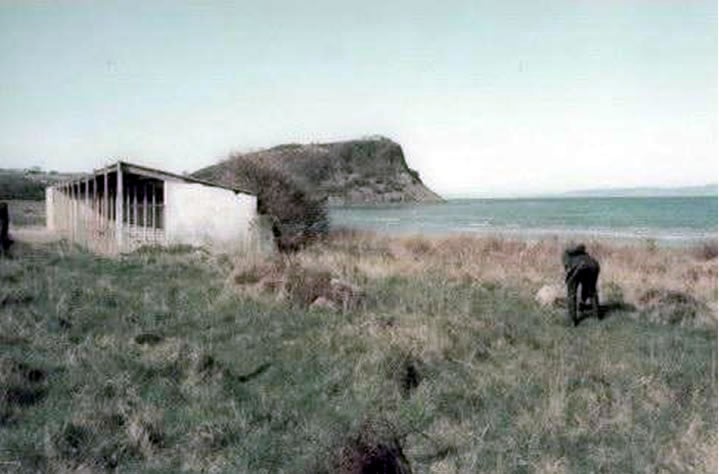 AYR Photos