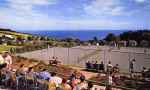 Pontins Dolphin Postcard