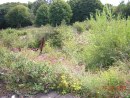 Former ballroom site
