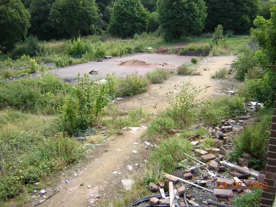 Floor of ballroom