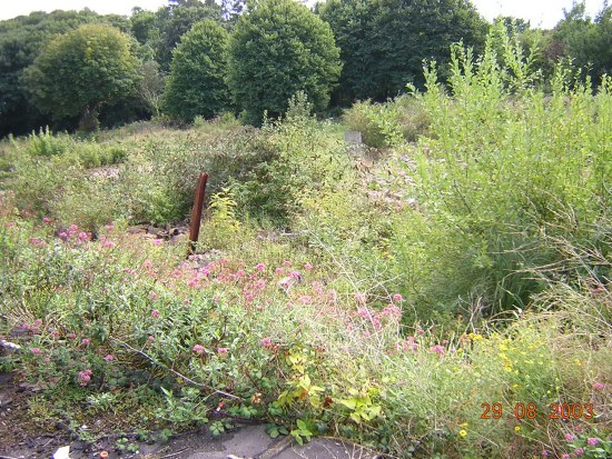 Former ballroom site