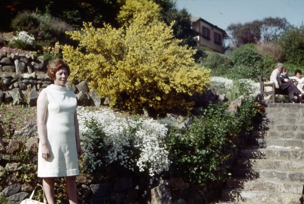 Rock Gardens
