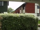 New chalets