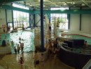Fun Pool